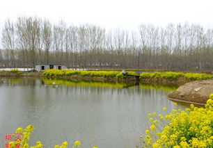 魚塘消毒的常用藥劑有哪些